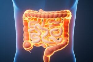 Perigos para a saúde de manter intestino inflamado