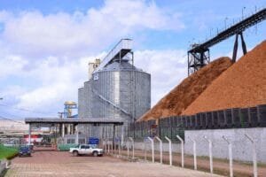 Porto de Santana: recorde na exportação de grãos em 2025