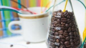 Comida e Ciência: 5 Grandes Marcos de 2025