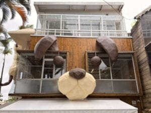 CasAdote: centro de adoção fixo no Brasil