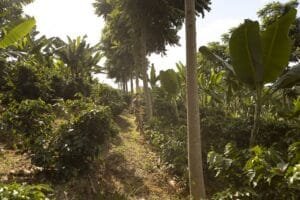 Desempenho financeiro da BRK Ambiental no 4º trimestre