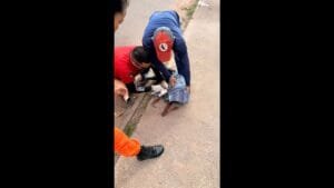 Resgate de Cachorro com pata decepada em Macapá