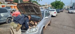 Recuperação de veículo furtado em Santarém pela PRF