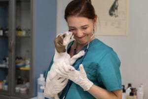 Carreira de Médico-Veterinário: Vantagens e Desvantagens