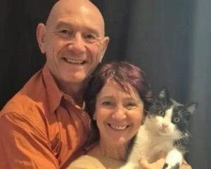 Gato perdido percorre 250 km da Espanha até a França