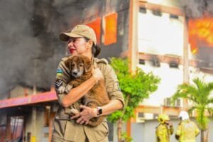 Fotografia que eterniza resgate de animal durante incêndio no Amapá