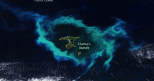 Satélite NOAA-20 registra ilha cercada por anel verde brilhante na Nova Zelândia
