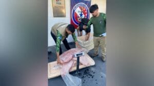 Apreensão de 108 kg de pescado ilegal pela Base Candiru durante fiscalização