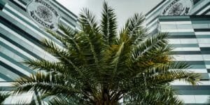 Adiamento de depoimentos no inquérito do Banco Master