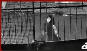 Discussão entre vizinhos acaba em feminicídio na Zona Sul de Manaus