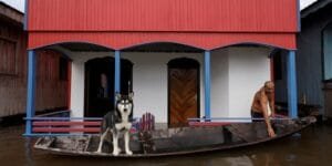 Cheias de rios amazônicos no Amazonas