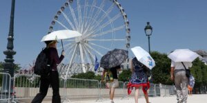 Impacto do aquecimento global na transmissão do vírus Chikungunya na Europa