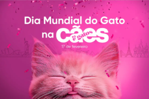 Cães e Gatos celebra o Dia Mundial do Gato com conteúdos exclusivos
