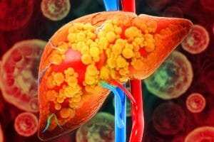 Benefícios do Composto intestinal na Proteção do Fígado