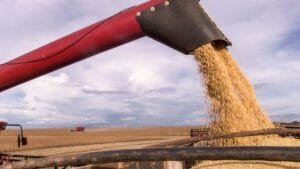 Safra de Soja do Brasil 2025/26: USDA Estima Recorde de 180 Milhões de Toneladas