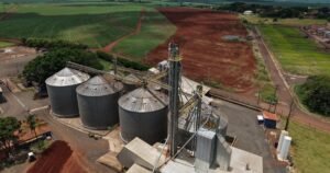 Safra recorde e o desafio do armazenamento no Brasil