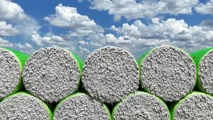 Queda na Produção de Algodão para Safra 2025/2026