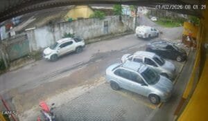 PM afasta policiais que atropelaram e mataram cães em Manaus