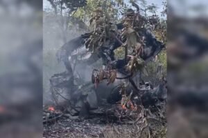 Avião em Chamas Após Acidente no Entorno: Detalhes e Imagens Impactantes