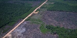 Alertas de desmatamento na Amazônia e Cerrado