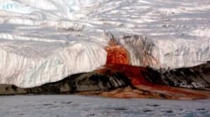 O Fascínio das Cachoeiras de Sangue: Entendendo o Fenômeno Antártico