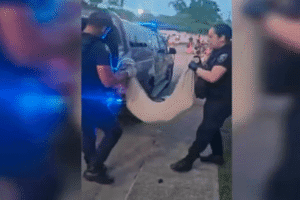 Três adolescentes são apreendidos por arremessar cão em SC