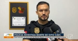 Investigação da morte de oito cães em Monte Alegre
