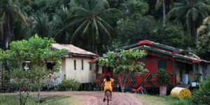 Conflitos Fundiários na Amazônia Legal: Uma Análise da Violência e Seus Impactos