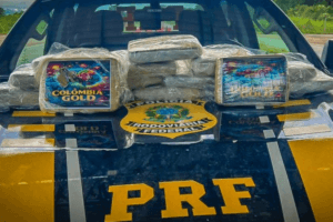 Apreensão de ‘supermaconha’ em ônibus na BR-070 em MT