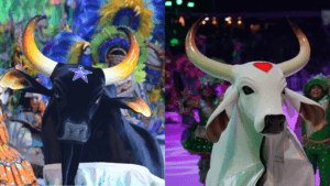 Calendário de ensaios e apresentações do Caprichoso e Garantido para o Festival de