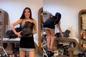 Influencer expõe corpo da cadela morta em caixa