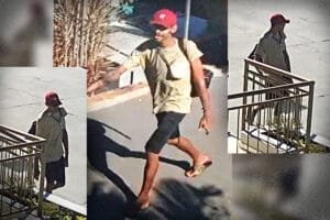 Identificação de ladrão de túmulos em cemitério