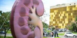 Dia Mundial do Rim: A Importância da Conscientização sobre Doenças Renais