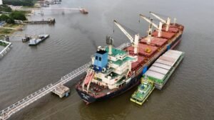 Impacto dos Controles Rigorosos nas Exportações de Soja Brasileira para a China