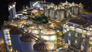 Raízen: A Trajetória de uma Gigante do Agronegócio e seu Desafio Atual