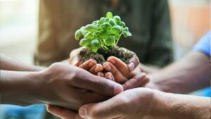 Mulheres que Transformam a Agricultura e Regeneram o Planeta