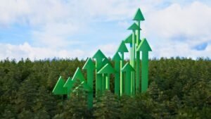 Forbes 2026: Agro Brasileiro Responde por 25,45% da Riqueza entre Bilionários