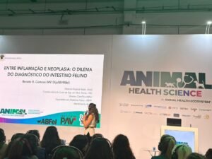 Desvendando Desafios Diagnósticos: DII e Linfoma Intestinal em Gatos no Animal Health 2026