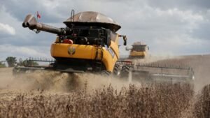 Exportações de Soja do Brasil Projetam Crescimento em Março