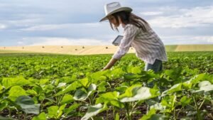 A Influência Silenciosa das Mulheres na Sociedade Moderna