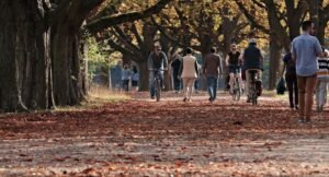 Previsões para o Outono de 2026: Chuvas Prolongadas e Frio Moderado