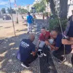 Desvendando as Enteropatias em Animais de Estimação: A Essencialidade do Diagnóstico Preciso