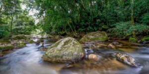 Plano Decenal Visa Reforçar Sistema Nacional do Meio Ambiente até 2036