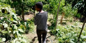 Horta Comunitária: Memória, Cuidado e Cidadania no Morro do Salgueiro