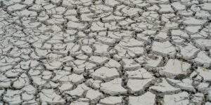 Situação de Emergência Decretada em 15 Cidades do Nordeste Brasileiro Devido à Estiagem