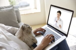 Telemedicina Veterinária: Uma Nova Era no Atendimento Animal