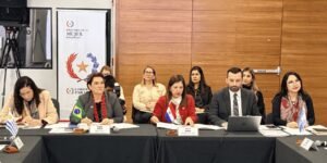 Brasil Lança Iniciativa Regional contra o Feminicídio no Mercosul